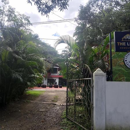 The Leisure Home Stay Shadipur Exteriér fotografie